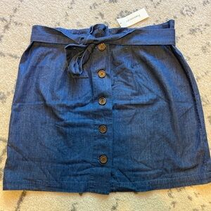 Francesca’s Denim Skirt